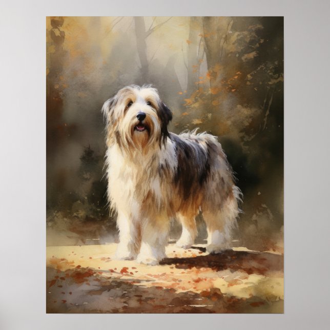 Bearded Collie Dog Art Print Poster (Front)