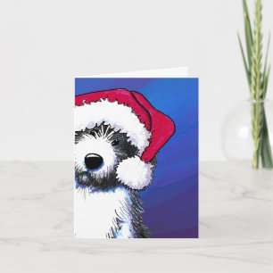 Bearded Collie Dog Christmas Cards