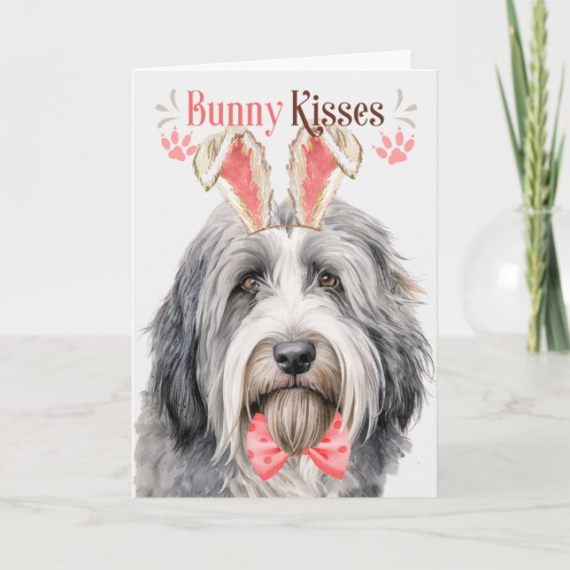 Bearded Collie Dog in Bunny Ears for Easter Holiday Card (Front)