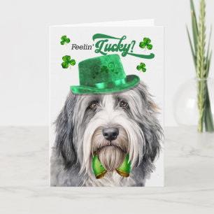 Bearded Collie Dog Lucky St Patrick's Day Holiday Card