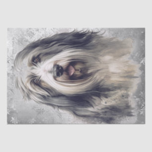 Bearded Collie Dog Tissue Paper