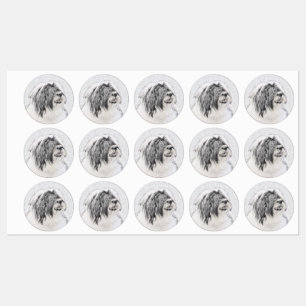 Bearded Collie Drawing - Cute Original Dog Art