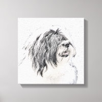 Bearded Collie Drawing - Cute Original Dog Art