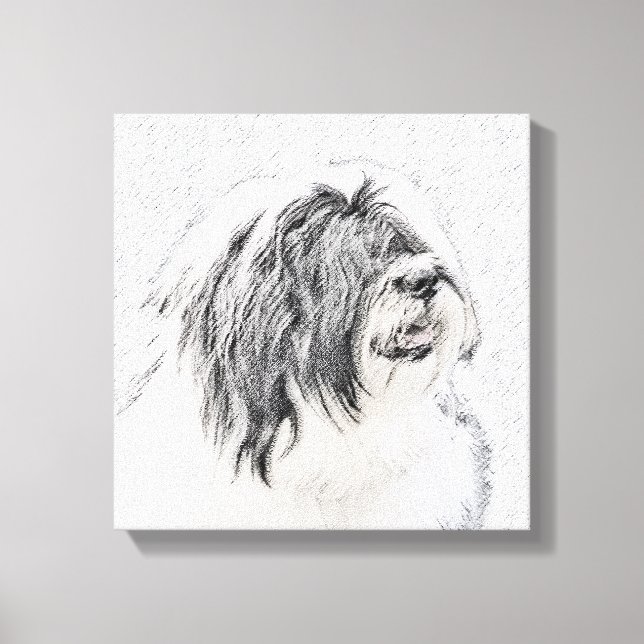 Bearded Collie Drawing - Cute Original Dog Art Canvas Print (Front)