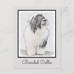 Bearded Collie Drawing - Cute Original Dog Art Postcard