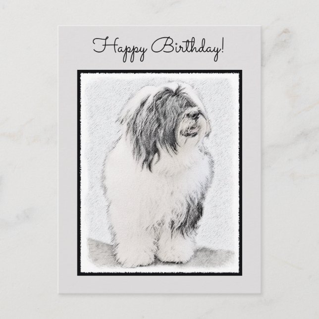 Bearded Collie Drawing - Cute Original Dog Art Postcard (Front)