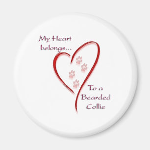 Bearded Collie Heart Belongs Magnet