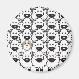 Bearded Collie in the Sheep Magnet