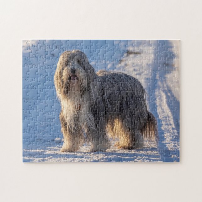 Bearded Collie in the snow Jigsaw Puzzle (Horizontal)