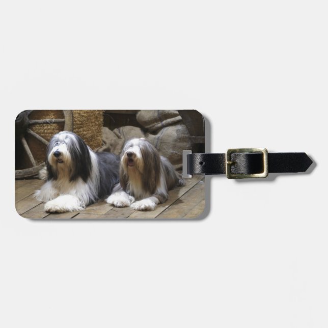 Bearded Collie Luggage Tag (Front Horizontal)