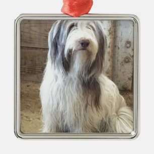 Bearded Collie Metal Tree Decoration