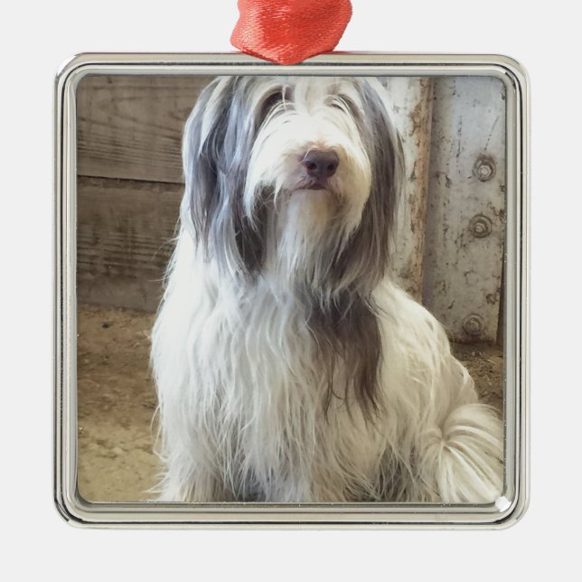 Bearded Collie Metal Tree Decoration (Front)