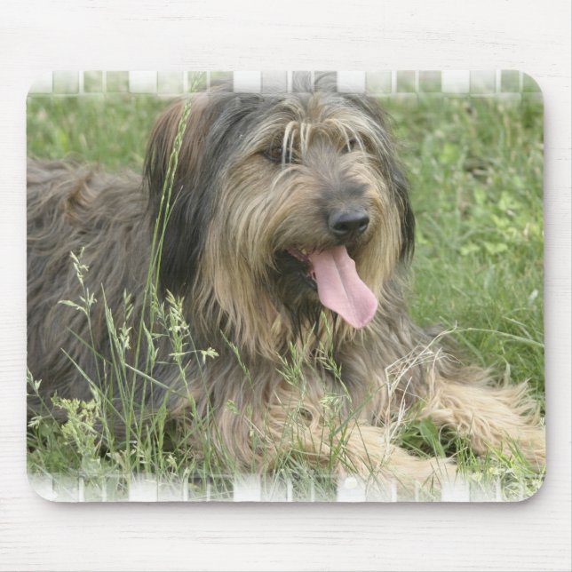 Bearded Collie Mouse Pad (Front)