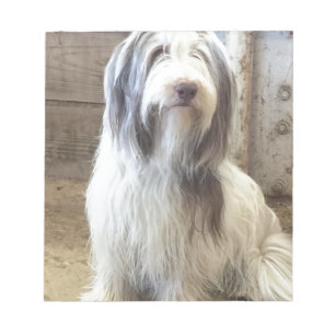 Bearded Collie Notepad