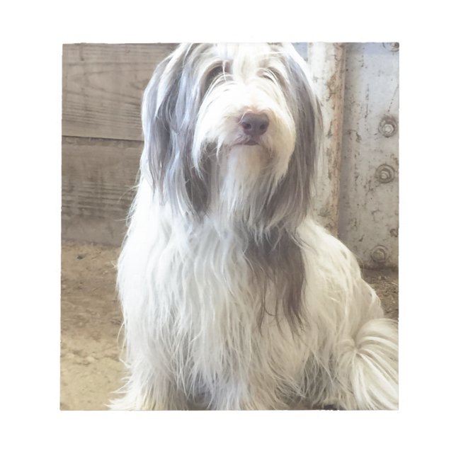 Bearded Collie Notepad (Front)