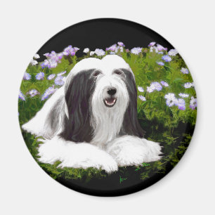 Bearded Collie Painting - Cute Original Dog Art Magnet