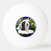 Bearded Collie Painting - Cute Original Dog Art