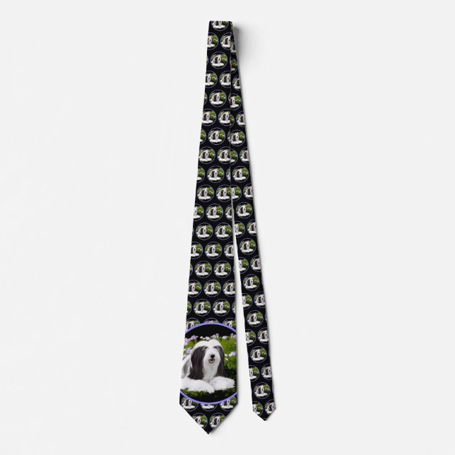 Bearded Collie Painting - Cute Original Dog Art Tie (Front)