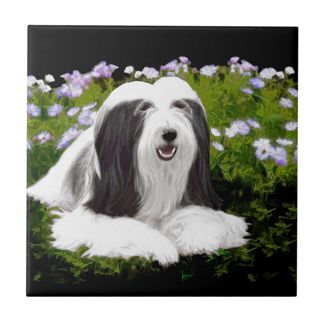 Bearded Collie Painting - Cute Original Dog Art Tile (Front)