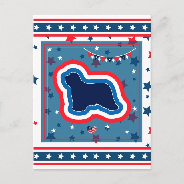 Bearded Collie Patriotic Red White Blue 4th July Holiday Postcard (Front)