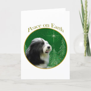 Bearded Collie Peace Holiday Card