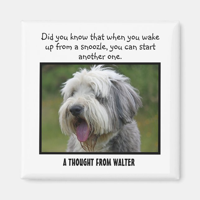 Bearded Collie Personalized Custom Magnet (Front)