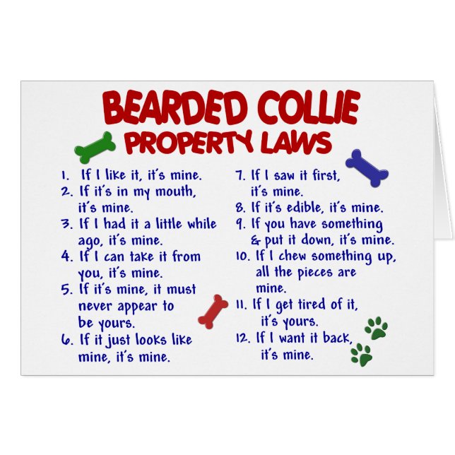 BEARDED COLLIE Property Laws 2 (Front Horizontal)