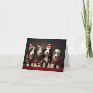 Bearded Collie Puppies in Christmas Sweaters Card