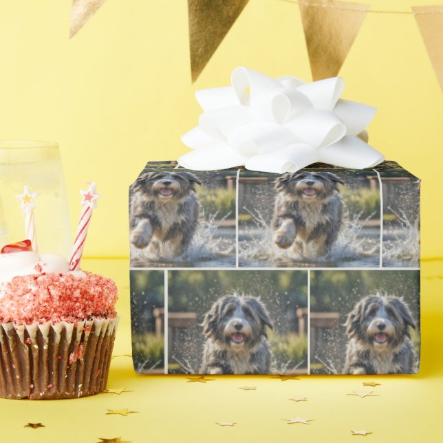 Bearded Collie Splashing In Puddle Wrapping Paper (Birthday Party)