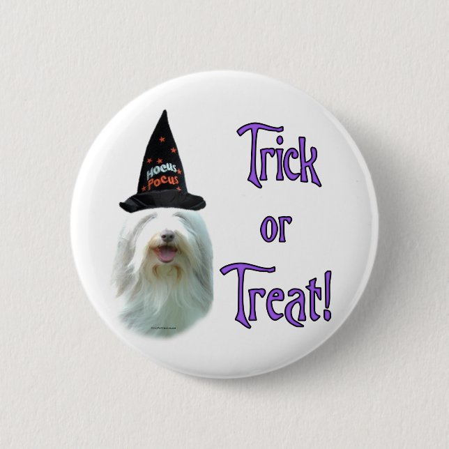 Bearded Collie Trick 6 Cm Round Badge (Front)