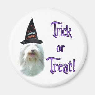 Bearded Collie Trick Magnet