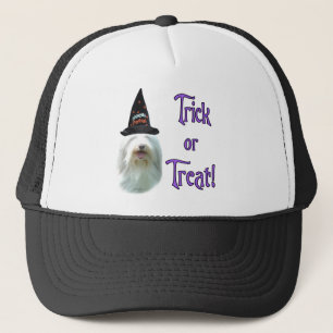 Bearded Collie Trick Trucker Hat