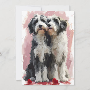 Bearded Collie Valentine's day  Holiday Card