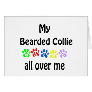 Bearded Collie Walks Design