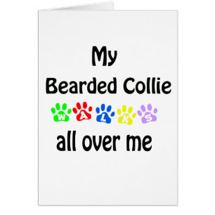 Bearded Collie Walks Design