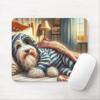 Bearded Collie Wearing Striped Pyjamas