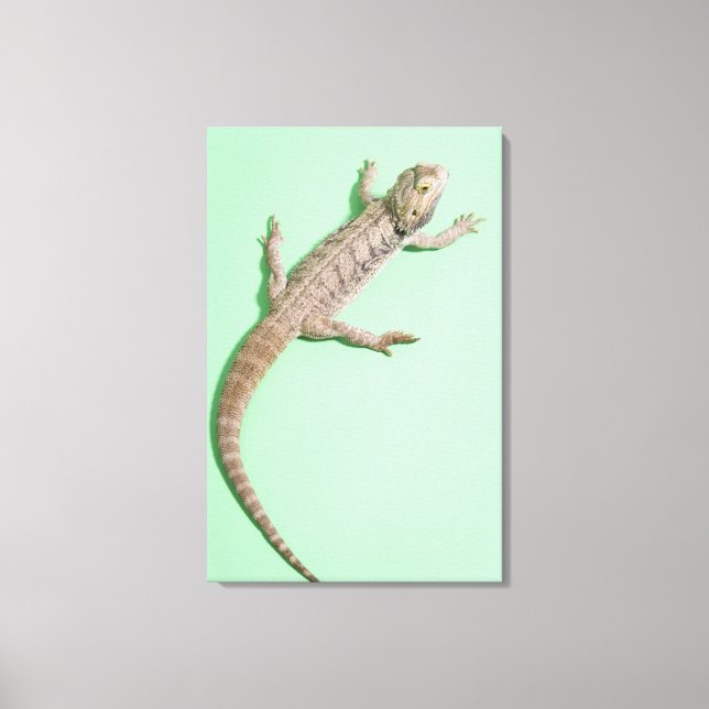 Bearded dragon 2 canvas print (Front)