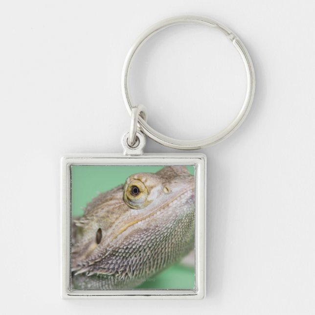 Bearded dragon 2 key ring (Front)
