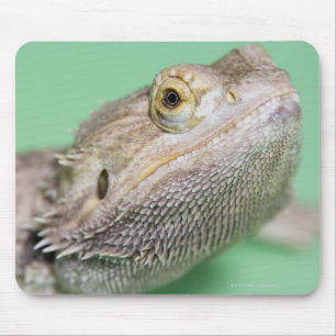 Bearded dragon 2 mouse mat