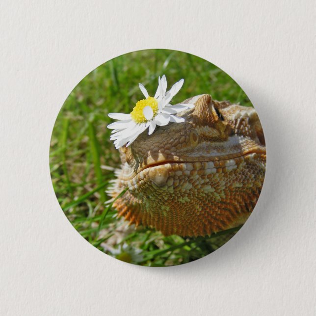 Bearded dragon 6 cm round badge (Front)