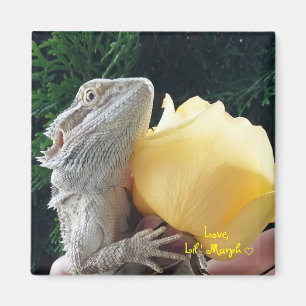 Bearded Dragon and Yellow Rose Magnet