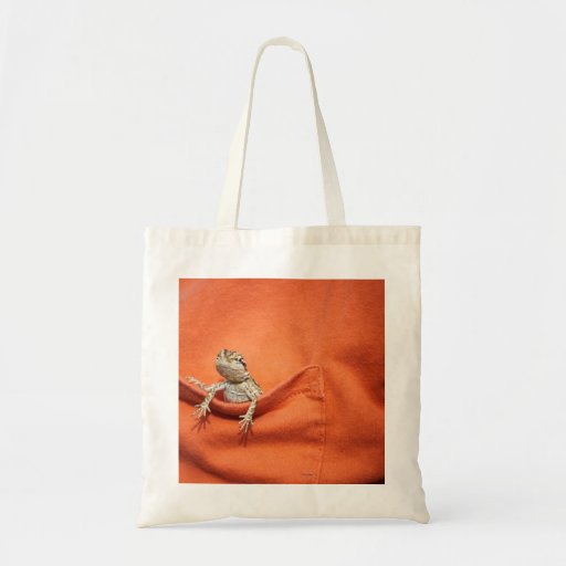 Image of bearded dragon bag