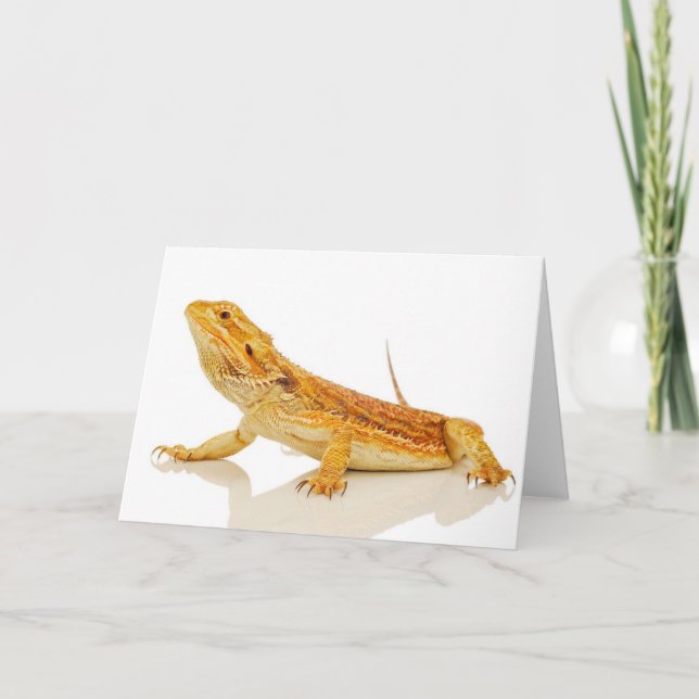 Bearded Dragon Card (Front)