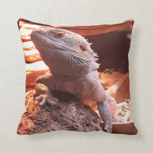 Bearded Dragon Cushion