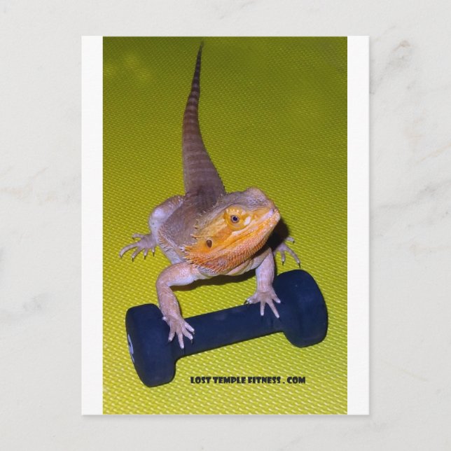bearded dragon exercising with dumbbell postcard (Front)