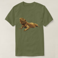 Bearded dragon illustration
