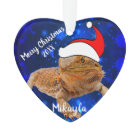Bearded Dragon in Santa Hat  