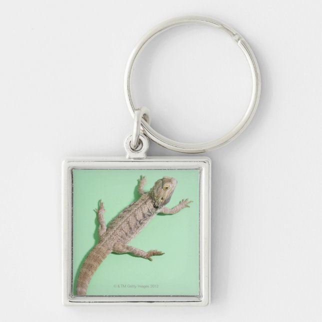 Bearded dragon key ring (Front)