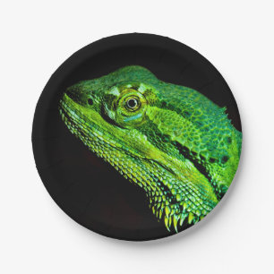 Bearded dragon lizard paper plate