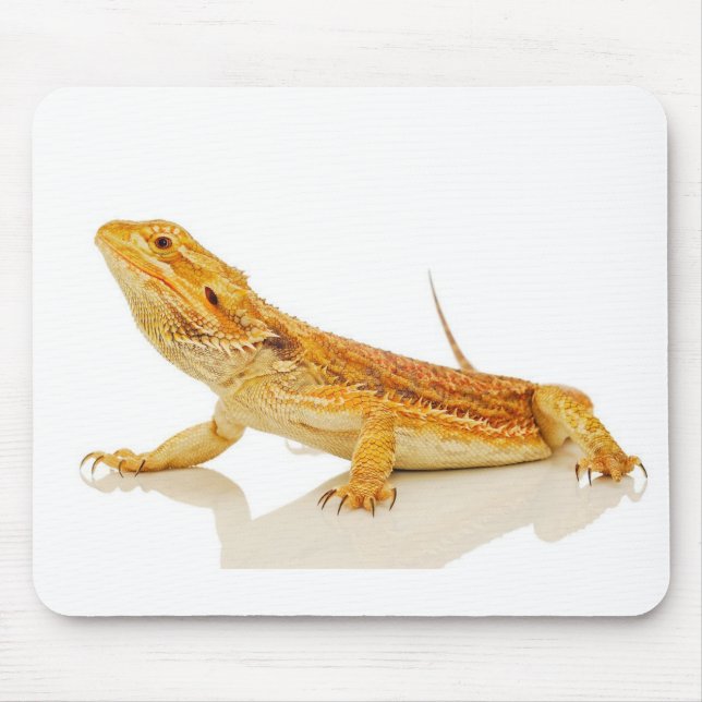 Bearded Dragon Mouse Mat (Front)